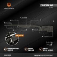 Evolution M40