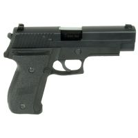 WE Airsoft Europe F226 E2 - Black