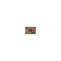 USA Embroidered Zombie Outbreak Response Team